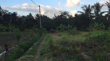 Gambar 5 Tanah Ubud 3 Km Dari Central Ubud View Sawah Area Villa