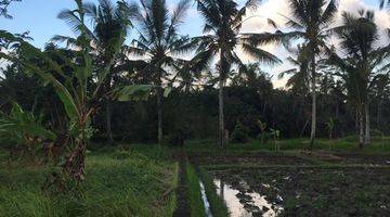 Gambar 4 Tanah Ubud 3 Km Dari Central Ubud View Sawah Area Villa