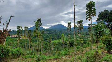 Gambar 1 Tanah Perkebunan Tabanan Bali View Bagus 