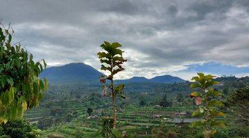 Gambar 2 Tanah Perkebunan Tabanan Bali View Bagus 