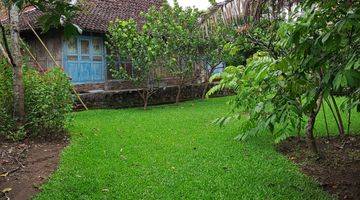 Gambar 3 Tanah Kebun Sudah Ada Rumah di Lingkungan Asri Dan Bersejarah