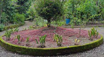 Gambar 5 Tanah Kebun Sudah Ada Rumah di Lingkungan Asri Dan Bersejarah