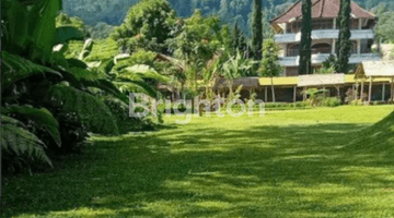 Gambar 4 Guesthouse Depan Danau Bedugul Untuk Bisnis Wedding Atau Retreat