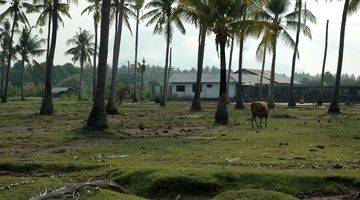 Gambar 5 Tanah Depan Pantai Sumberkima Buleleng Bali wytsgr236 