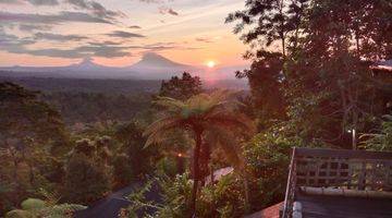 Gambar 5 Rainforest Glamping Jatiluwih Tabanan Bali 