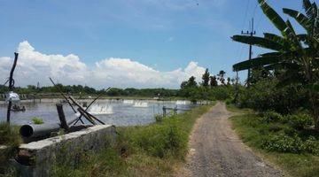 Gambar 1 TAMBAK AKTIF UNDER NJOP BANYUWANGI JAWA TIMUR