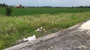 Gambar 2 PLOT LAND IN CEMAGI WITH RICEFIELD VIEW