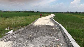 Gambar 3 PLOT LAND IN CEMAGI WITH RICEFIELD VIEW