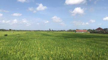 Gambar 4 PLOT LAND IN CEMAGI WITH RICEFIELD VIEW