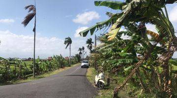 Gambar 5 PLOT LAND IN CEMAGI WITH RICEFIELD VIEW