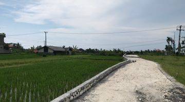 Gambar 1 PLOT LAND IN CEMAGI WITH RICEFIELD VIEW