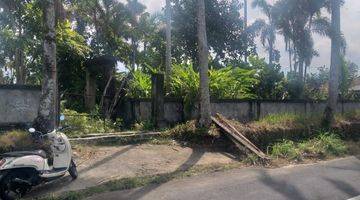 Gambar 2 19.5 Are Ricefield View Land In Tirta Tawar Ubud