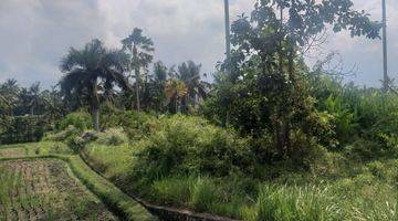 Gambar 3 19.5 Are Ricefield View Land In Tirta Tawar Ubud