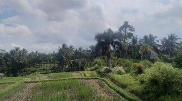 Gambar 1 19.5 Are Ricefield View Land In Tirta Tawar Ubud