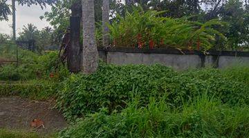 Gambar 5 19.5 Are Ricefield View Land In Tirta Tawar Ubud