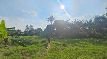 Gambar 2 Tanah Kebun Tanaman 3000 Meter Cukup Marketable Pura Bojonggede Dekat