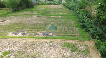 Gambar 3 Tanah di Desa Pangkat, Jayanti, Tangerang Banten