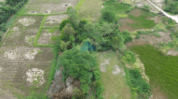 Gambar 1 Tanah di Desa Pangkat, Jayanti, Tangerang Banten