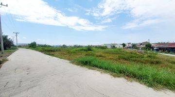 Gambar 3 Dijual Tanah Marelan