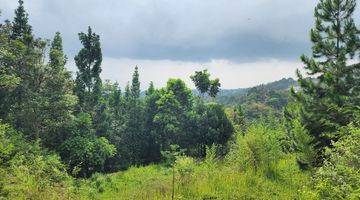 Gambar 2 Fantastic Dago Mountain Land With Super Views