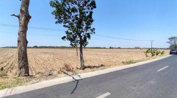 Gambar 3 Tanah Sawah Dengan View Bandara Kertajati Majalengka