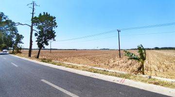 Gambar 1 Tanah Sawah Dengan View Bandara Kertajati Majalengka