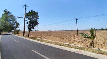 Gambar 4 Tanah Sawah Dengan View Bandara Kertajati Majalengka