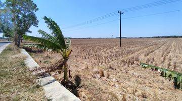 Gambar 5 Tanah Sawah Dengan View Bandara Kertajati Majalengka