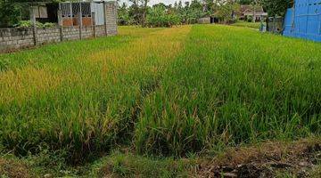 Gambar 3 Tanah Pinggir Jalan Dekat Gereja Ganjuran Bantul 