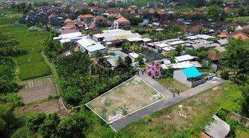 Gambar 3 Jual Tanah Penatih Denpasar Lt 400 M2