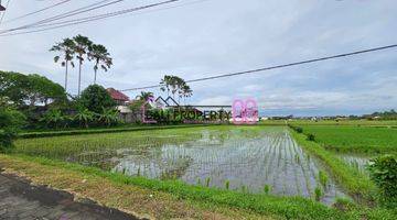 Gambar 5 Dijual Tanah di Jalan Pantai Kedungu, Tabanan Bali