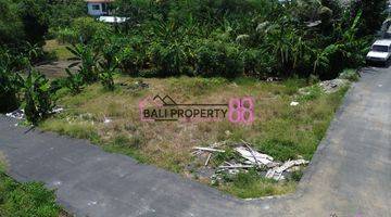 Gambar 5 Jual Tanah Penatih Denpasar Lt 400 M2