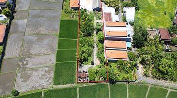 Gambar 4 Urgent Good Land For Villa With Ricefield View 