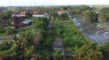 Gambar 3 Small Lot Lands For Villas With Ricefield View And Near The Beach