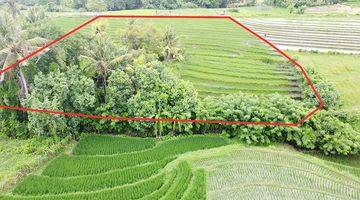 Gambar 3 Tanah Dekat Pantai Dan Ricefield View