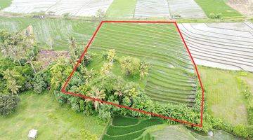 Gambar 4 Tanah Dekat Pantai Dan Ricefield View