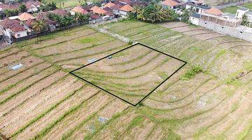 Gambar 2 Land With Rice Field View In Nyanyi Beach