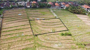 Gambar 3 Land With Rice Field View In Nyanyi Beach