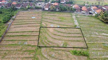 Gambar 4 Land With Rice Field View In Nyanyi Beach