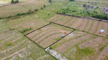 Gambar 1 Land With Rice Field View In Nyanyi Beach