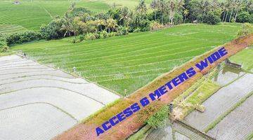 Gambar 2 Ricefield Land With Ocean View