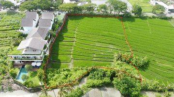 Gambar 1 Land Near Seseh Beach Good For Villa And Commercial Building With Ricefield View