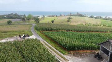 Gambar 1 Ricefield Land With Ocean View 