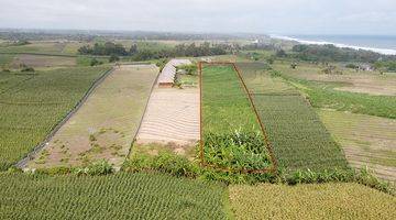 Gambar 2 Ricefield Land With Ocean View 