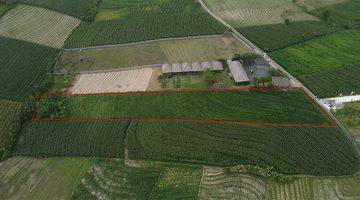 Gambar 5 Ricefield Land With Ocean View 