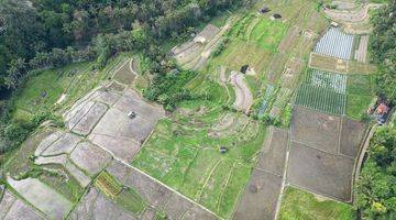 Gambar 3 Tanah Shm Murah Siap Bangun Di Ubud Dg View Sawah Terasering