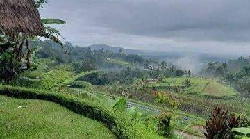 Gambar 1 Tanah SHM di Bedugul Bali View Bagus Fasilitas Lengkap