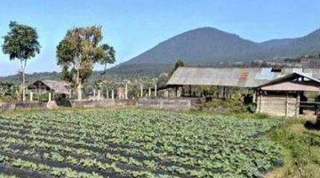 Gambar 2 Tanah SHM di Bedugul Bali View Bagus Fasilitas Lengkap