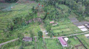 Gambar 5 Tanah SHM di Bedugul Bali View Bagus Fasilitas Lengkap