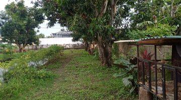 Gambar 3 Dijual Tanah Tanjung Pasir Tangerang